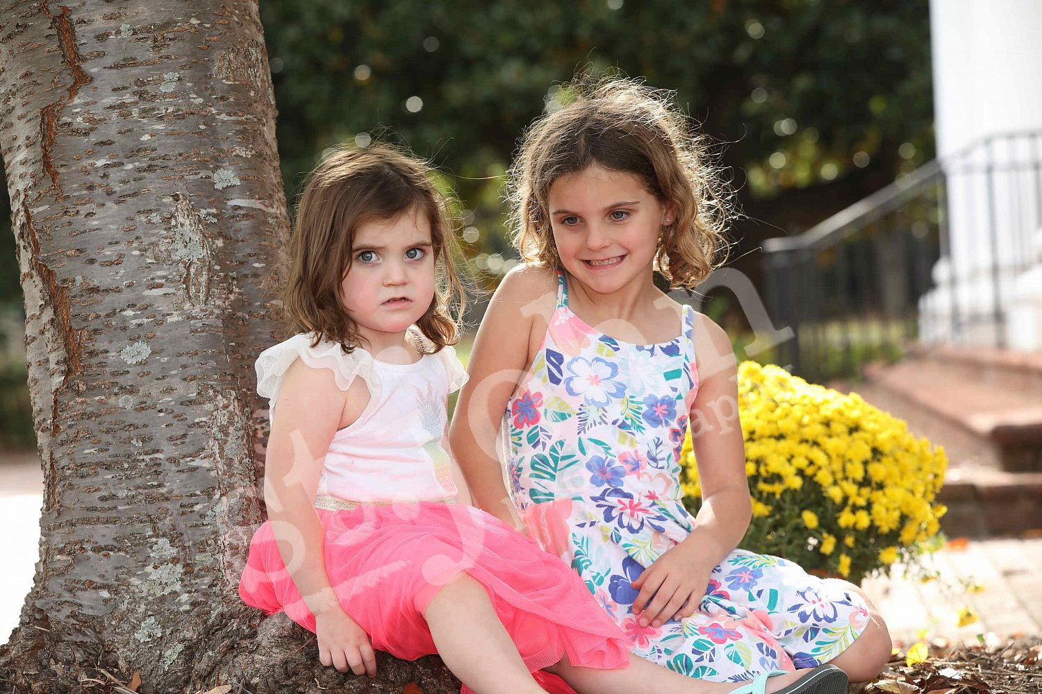 20222023 Trinity Presbyterian WDS Portraits & Group Photos schools